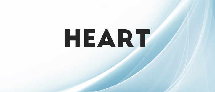 Understanding Heart Disease